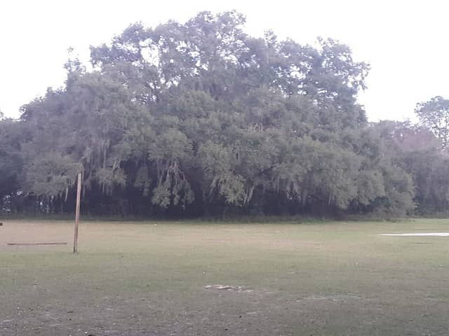 Loughridge Park - Image 2