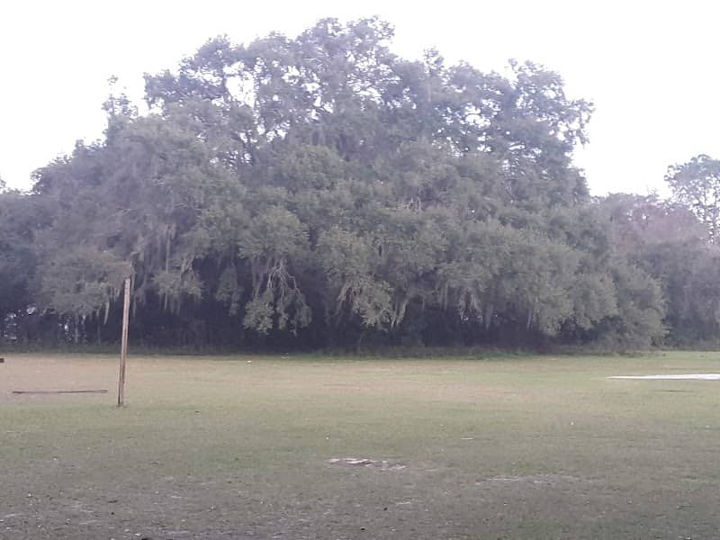 Loughridge Park - Image 2