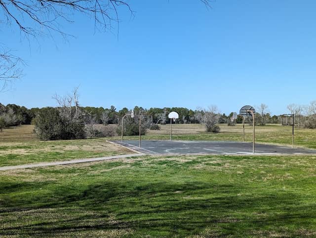 Live Oak Picnic Area - Image 1