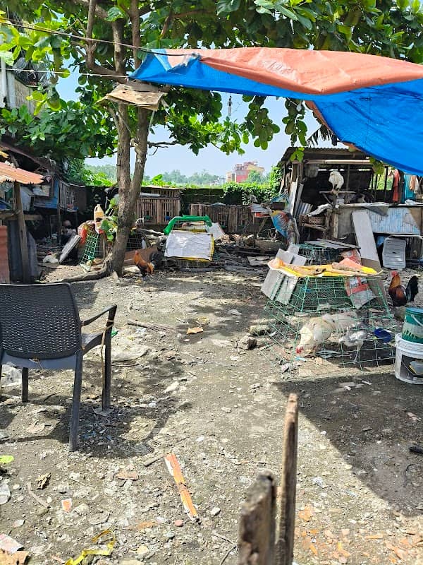 Boloy's Manukan - Image 1