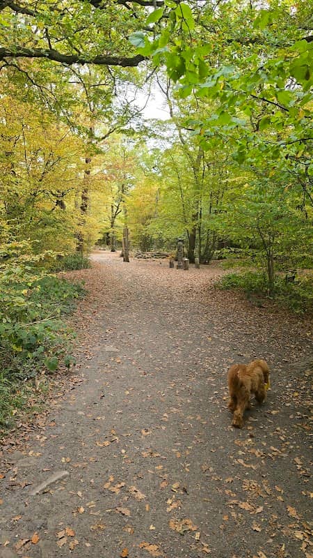 Belfairs Park - Image 1
