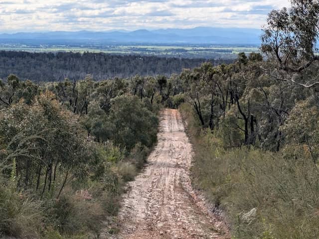 Holey Plains State Park - Image 2