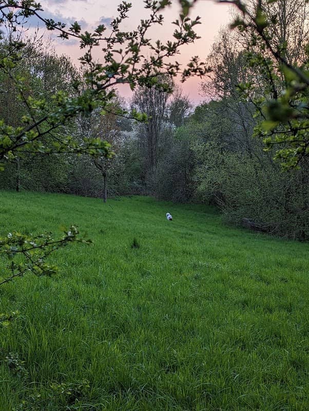 Stadt Park - Image 1