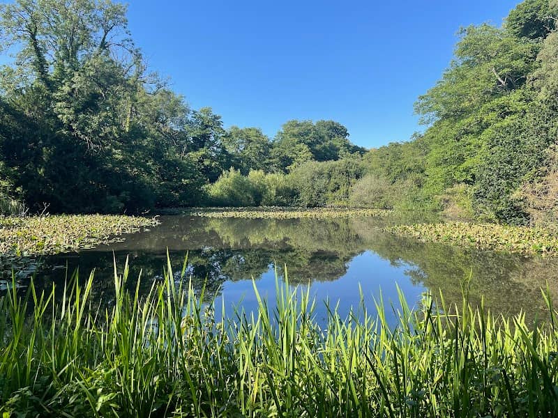 Godstone Ponds - Image 1