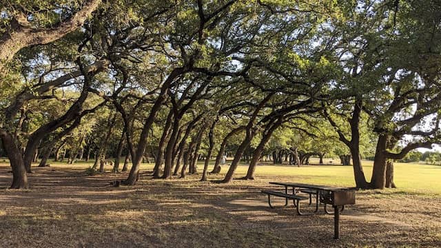 Devine Lake Park - Image 2