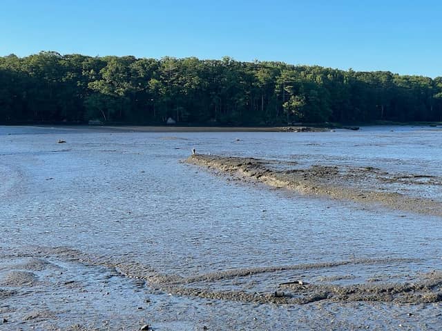 Pine Street Landing - Image 2