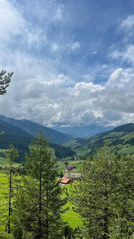 Aussichtspunkt mit Bank - Image 2