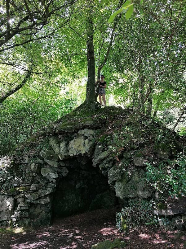 Hazelwood Forest - Image 1