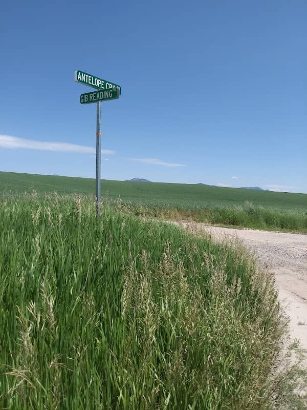 Fisher Bottoms - Image 1
