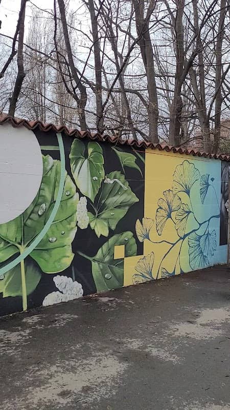 Murales di Fabio Petani - Image 1