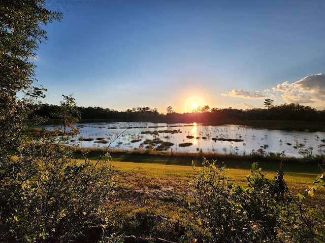 Debbie Lightsey Nature Park - Image 3