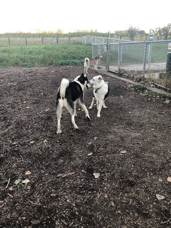 Ritter Farm Dog Park - Image 1