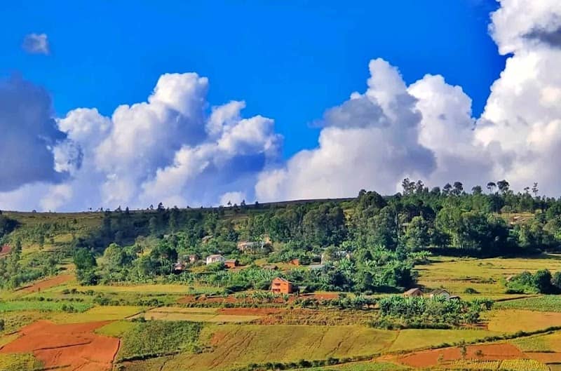 Mahamavo - Image 2