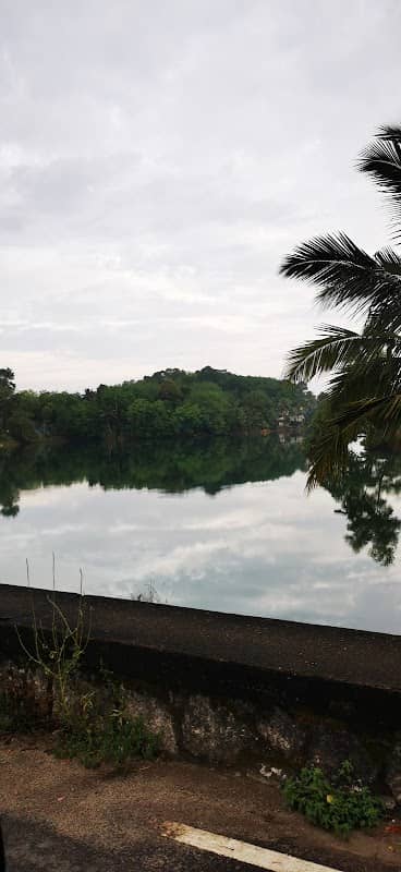 Neyyar Water Reservoir - Image 1