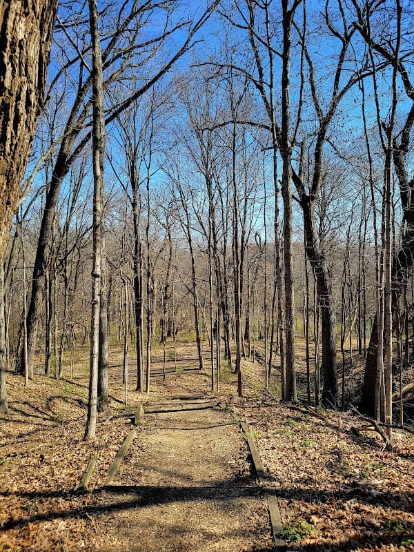 Little Rock Creek Forest Preserve - Image 1