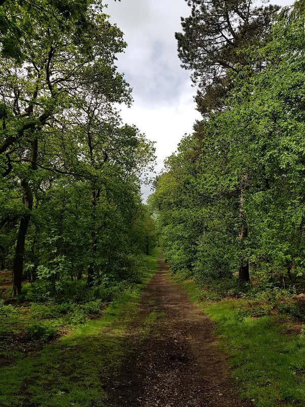 Biddulph Grange Country Park - Image 1