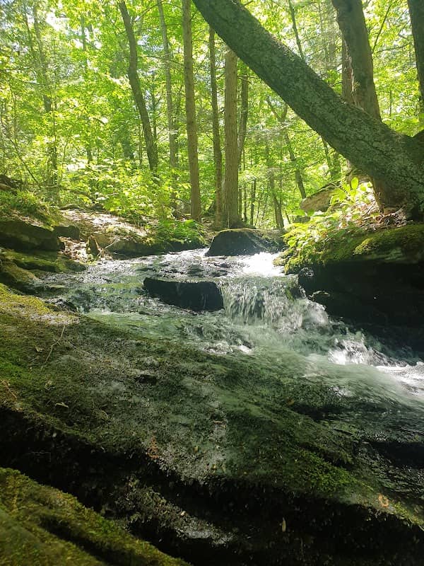Pixie Falls and Ladies Room Rock trailhead - Image 1