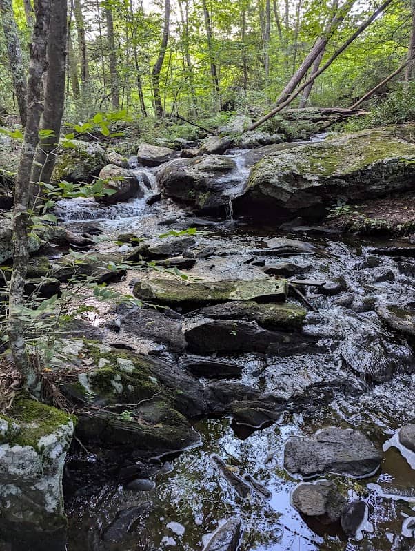 Pixie Falls and Ladies Room Rock trailhead - Image 2