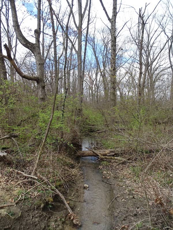 Boundary Trail - Image 1