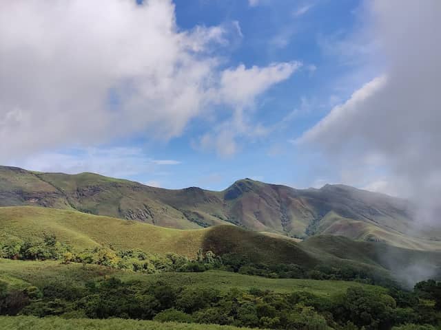 First Tree View Point - Image 1