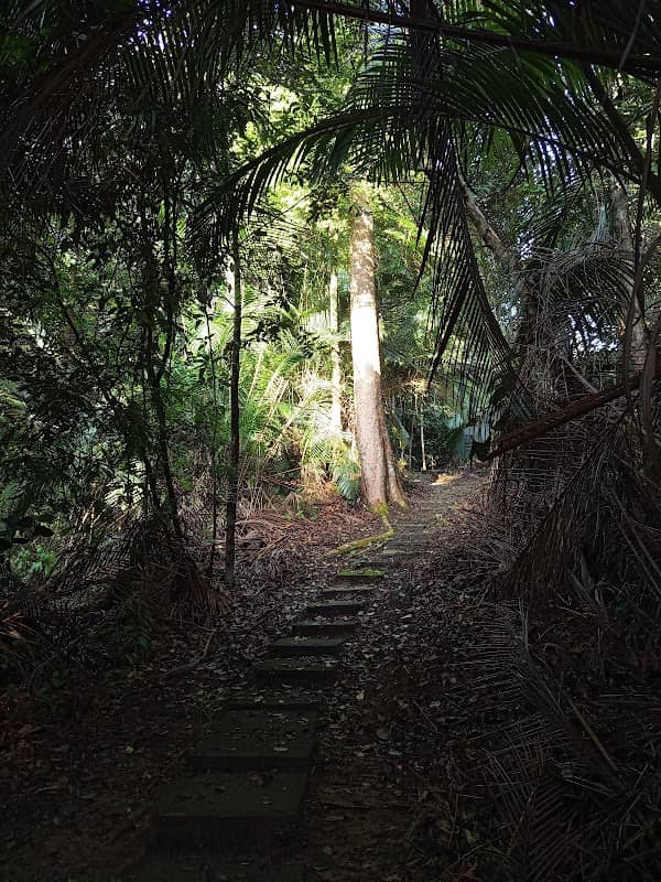Bukit Rupa UKM Forest Reserve Enterance - Image 1