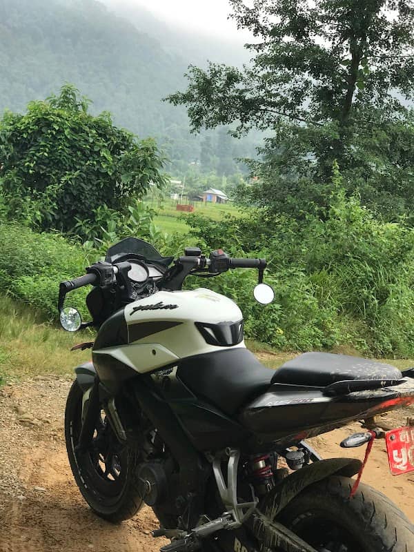 वियारी - Image 1