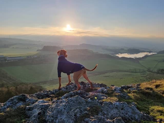 Cockleroy Hill - Image 2