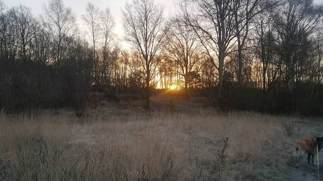 Bisley Common - Image 1