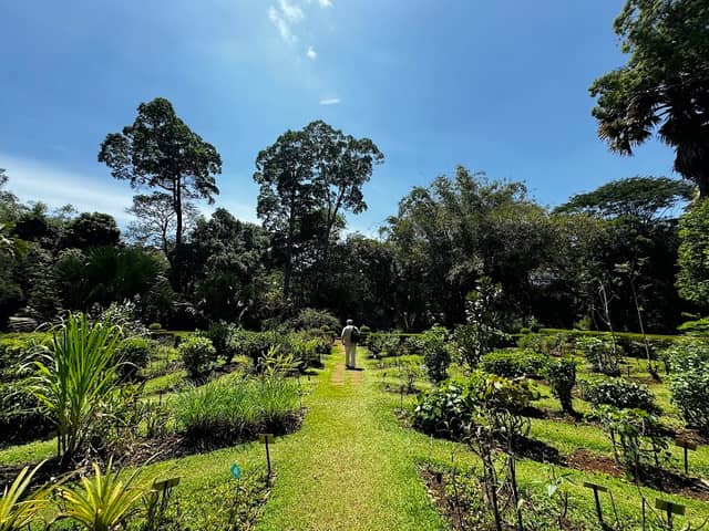 Kandy kapila Tours - Image 1