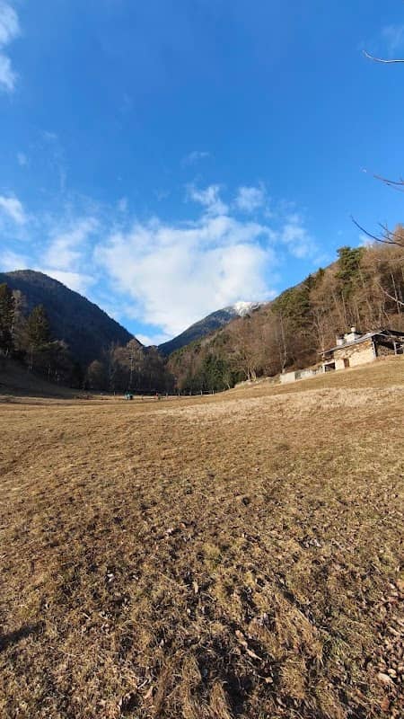 Pota IT-0258 - Image 1