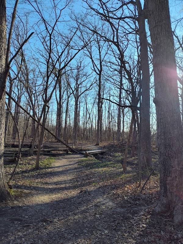 Falk Park - Image 2