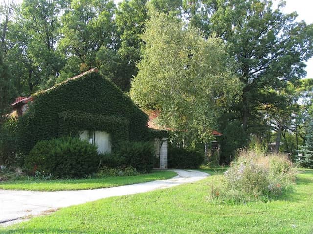 Falk Park - Image 1