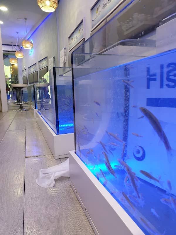 Doctor Fish SPA - Image 1