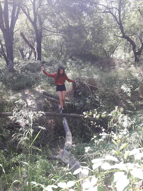 Edgecliff/Cripple Creek Open Space Site - Image 2