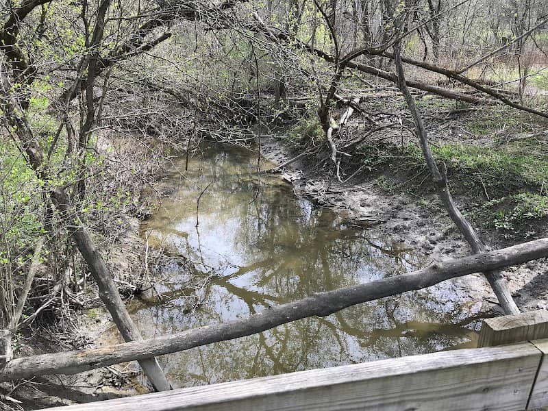The Bridge - Image 1