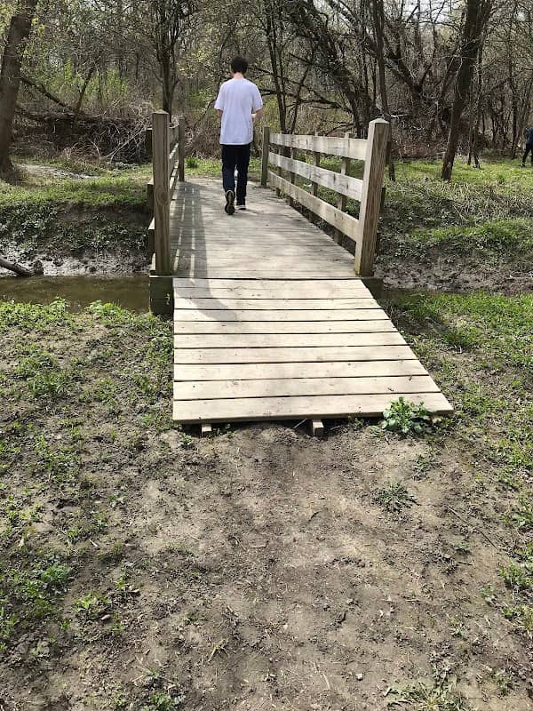 The Bridge - Image 2