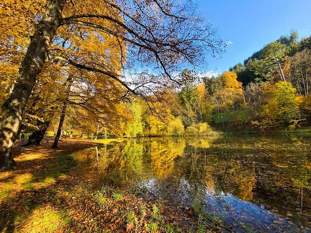 Matzenpark - Image 2