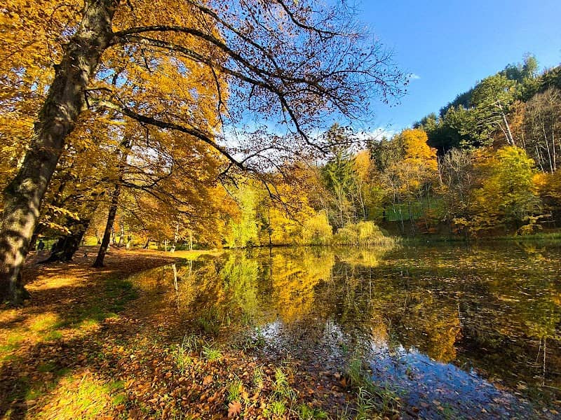 Matzenpark - Image 2