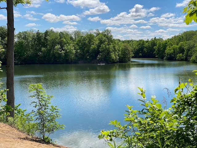 Sharon Creek Conservation Area - Image 2