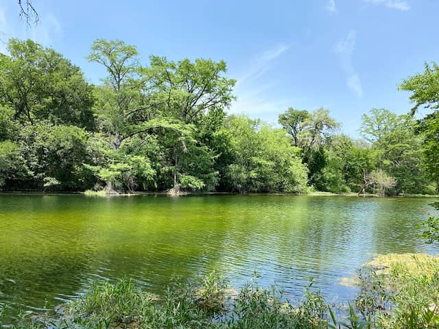 John D and Byrd Mims Garison Memorial Park - Image 2