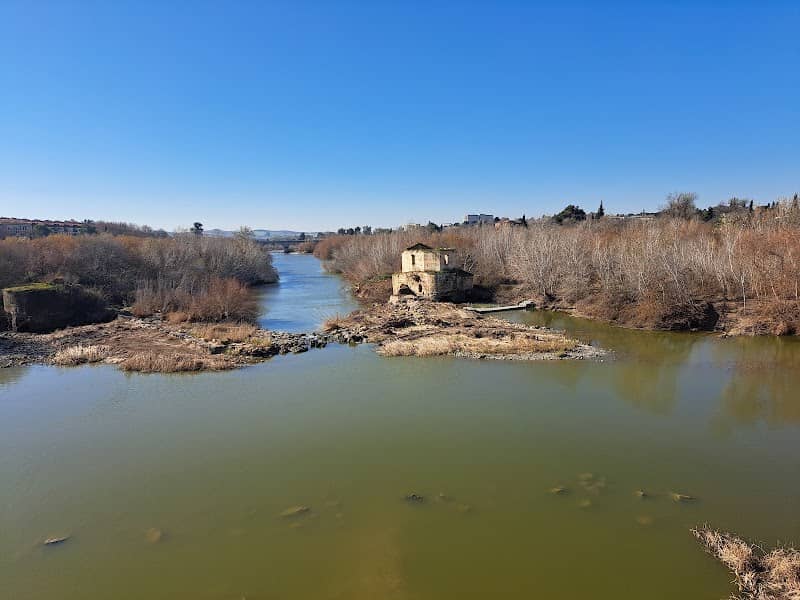 Panoramic View of Cordoba - Image 2