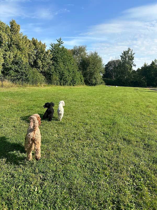 Åparkens hundlekpark - Image 1
