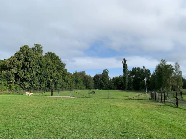Åparkens hundlekpark - Image 2