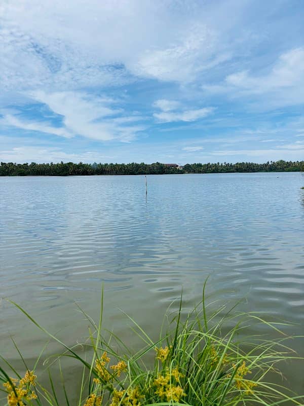 Murukkumpuzha Viewpoint - Image 1