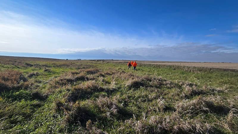 Three Rivers Wildlife Management Area - Image 2