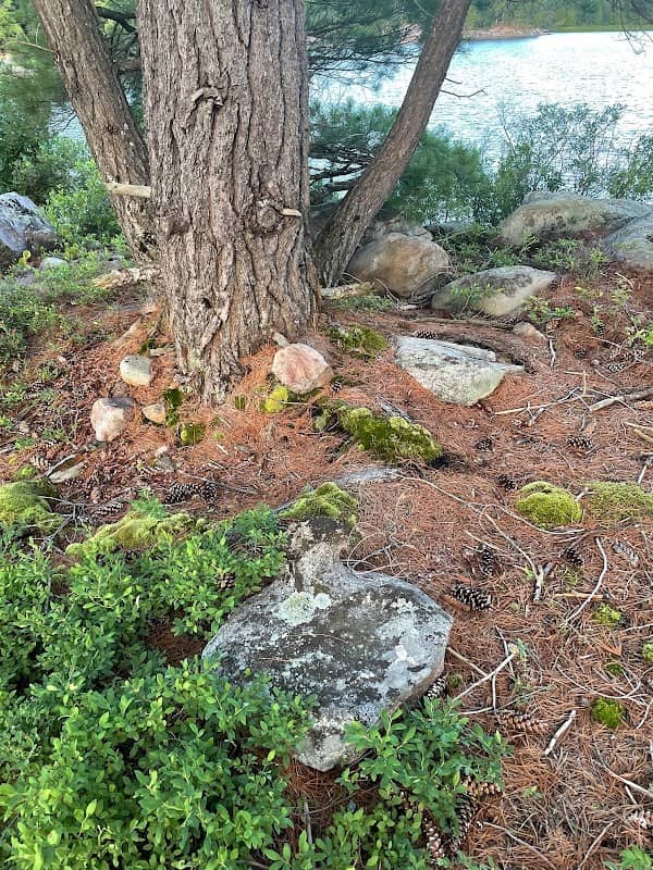 Cranberry Island - Image 2