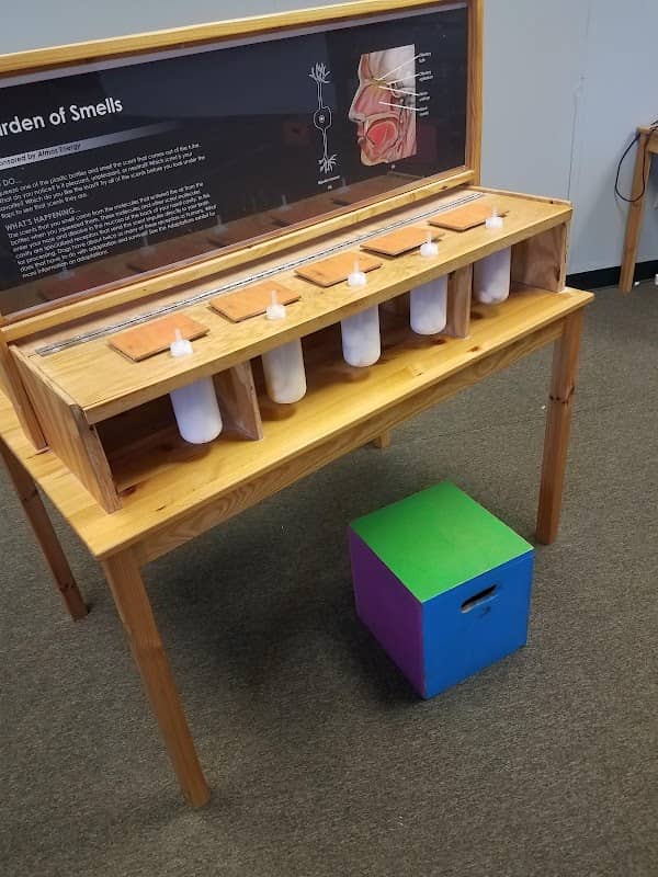 Curious Museum - Image 1