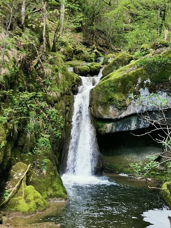 Twannbachschlucht - Image 1