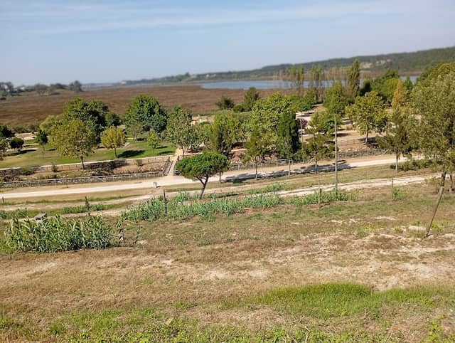 Balouço de vagos - Image 1