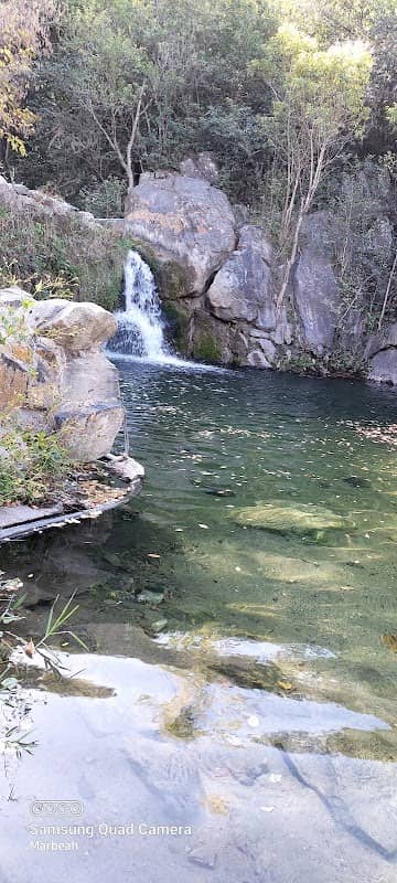 Primer Paredón - Image 1